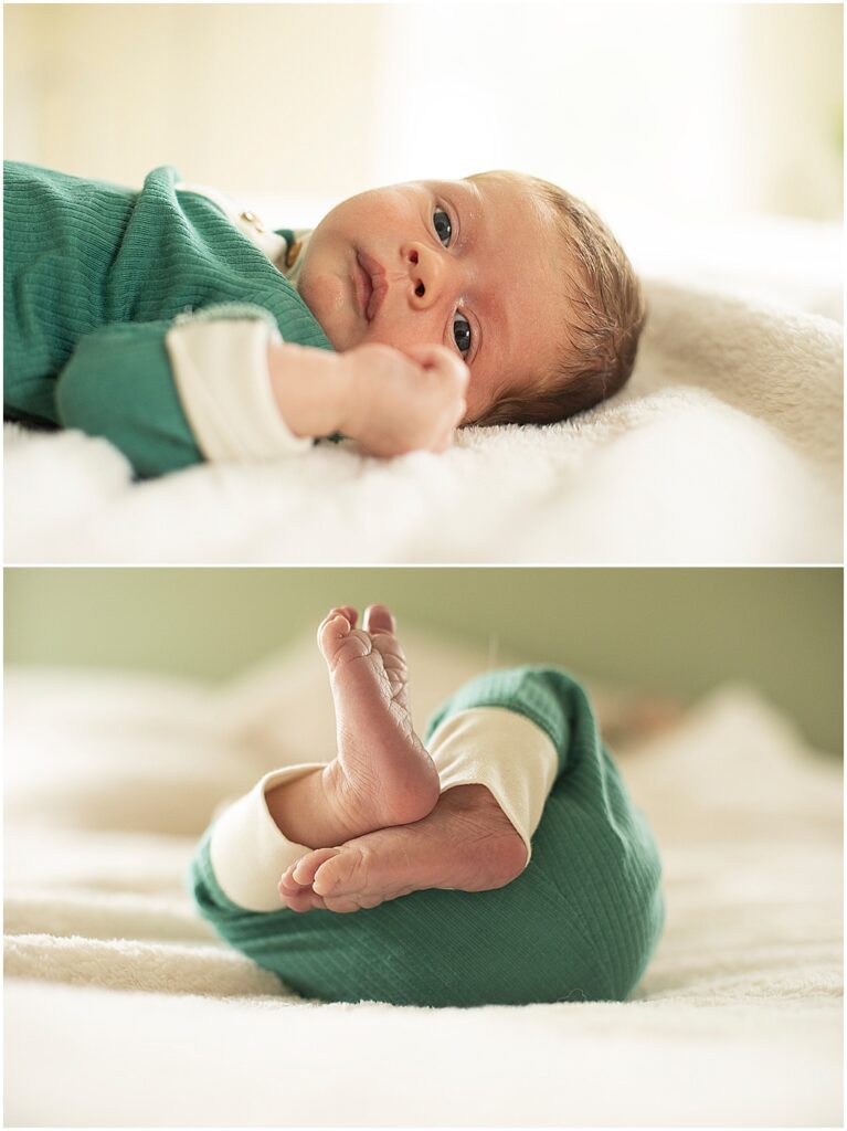 newborn portraits baltimore in home newborn photographer